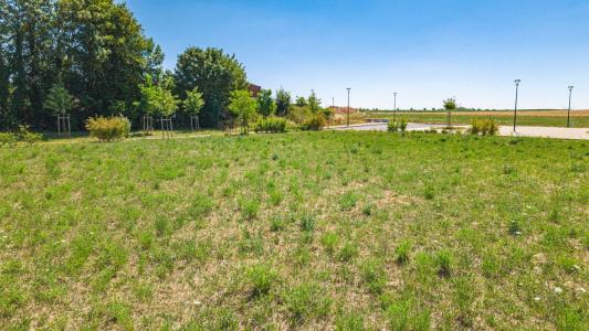 Annonce Vente Terrain Machault 08