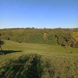 Acheter Terrain 1973 m2 Saint-pantaleon-de-larche