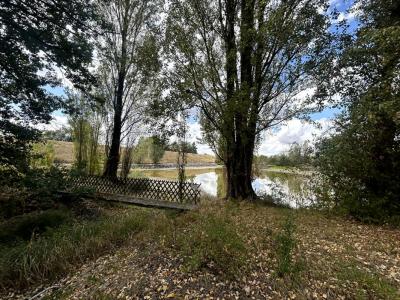 Annonce Vente Terrain Jouet-sur-l'aubois 18