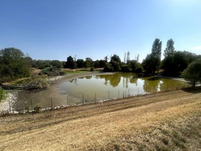 Acheter Terrain Jouet-sur-l'aubois Cher