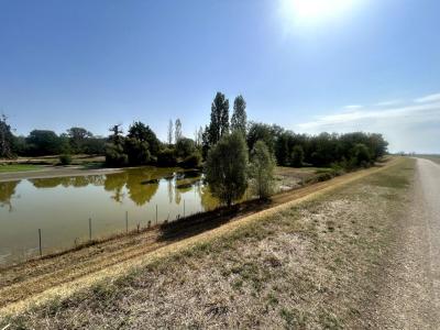 Acheter Terrain Jouet-sur-l'aubois 98000 euros