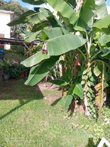 Annonce Vente Immeuble Lamentin 972