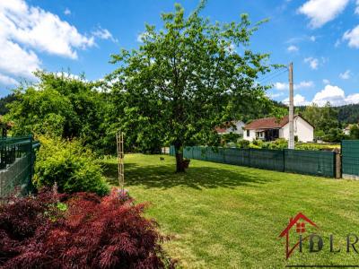 Annonce Vente 7 pi�ces Maison Biffontaine 88