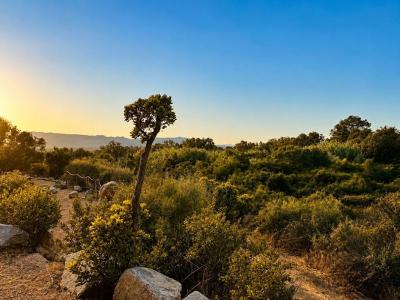 For sale Figari 6 rooms 204 m2 Corse (20114) photo 1