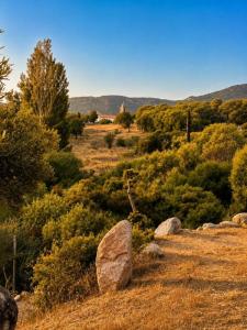 For sale Figari 6 rooms 204 m2 Corse (20114) photo 2