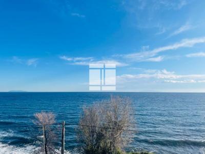 For sale San-martino-di-lota 3 rooms 51 m2 Corse (20200) photo 3