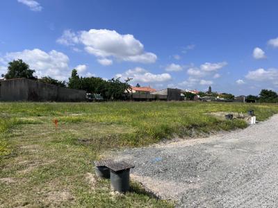 Annonce Vente Terrain Villedieu-la-blouere 49