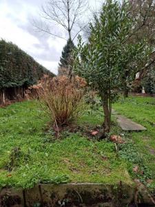Annonce Vente Maison Auchel 62