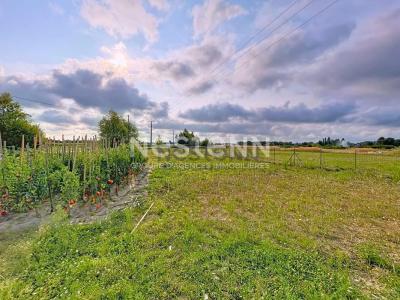 Acheter Maison Soings-en-sologne Loir et cher