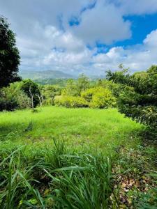 Annonce Vente Terrain Vauclin 972