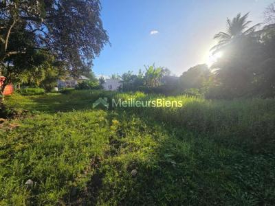 For sale Morne-a-l'eau 765 m2 Guadeloupe (97111) photo 0