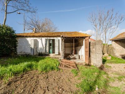 For sale 7 rooms 381 m2 Herault (34290) photo 1
