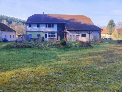 For sale 10 rooms 250 m2 Moselle (57230) photo 0