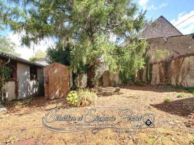 Annonce Vente 7 pi�ces Maison Patay 45