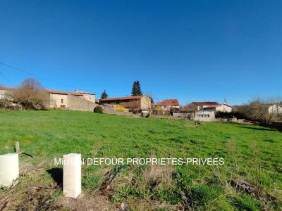Acheter Terrain 886 m2 Monistrol-sur-loire