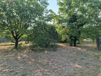 Annonce Vente Terrain Villenave-d'ornon 33