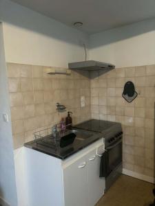Louer Appartement 47 m2 Mayenne