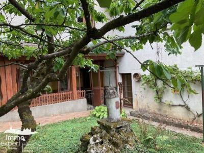 Acheter Maison 267 m2 Saint-ouen-les-parey