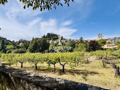 Acheter Maison 114 m2 Forcalquier