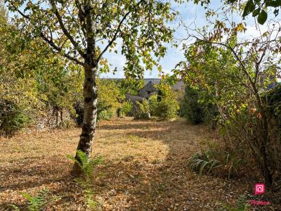 Annonce Vente 5 pi�ces Maison Saulges 53