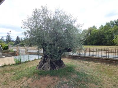 Acheter Maison Cherveix-cubas Dordogne