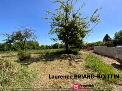 Annonce Vente Terrain Montbray 50