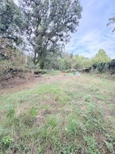 For sale Pannece 1851 m2 Loire atlantique (44440) photo 0
