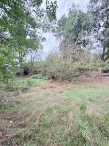 Annonce Vente Terrain Pannece 44
