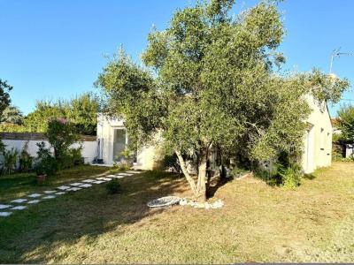 Annonce Vente 5 pi�ces Maison Saint-augustin 17