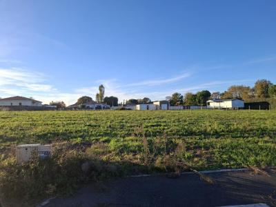 For sale Saint-pierre-du-mont 464 m2 Landes (40280) photo 0