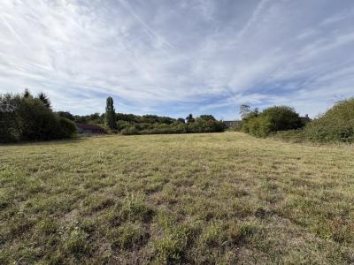 Acheter Terrain 11202 m2 Valencay