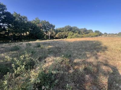 Annonce Vente Terrain Gimont 32