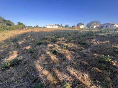 Acheter Terrain Gimont 73000 euros