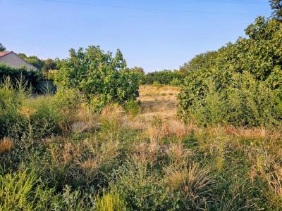 Acheter Maison 90 m2 Beauchastel