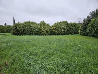 Acheter Maison Loriol-sur-drome Drome