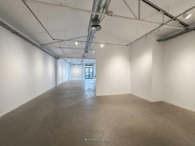 Acheter Local commercial 217 m2 Lyon-2eme-arrondissement