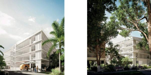 Annonce Location Local commercial Saint-paul 974