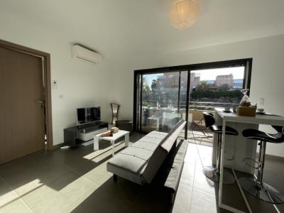 Annonce Location 2 pi�ces Appartement Albitreccia 20