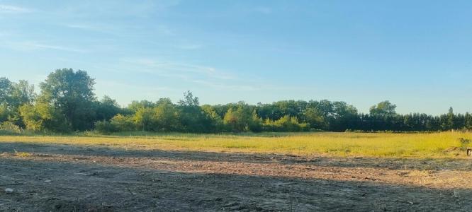 Annonce Vente Terrain Revel 31