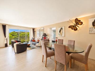 Annonce Vente 3 pi�ces Appartement Cagnes-sur-mer 06