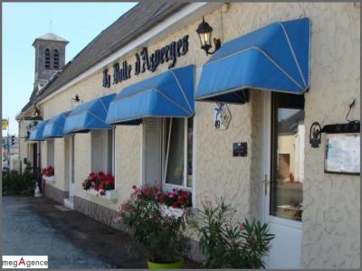 Annonce Vente Local commercial Guecelard 72