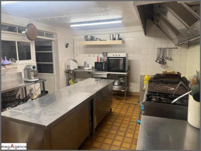 Acheter Local commercial 242 m2 Guecelard
