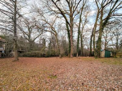 Annonce Vente Terrain Sadirac 33