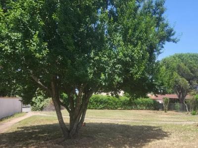 For sale Pompignac 1000 m2 Gironde (33370) photo 0