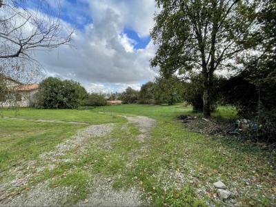Annonce Vente Maison Fargues-saint-hilaire 33