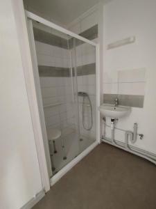 Annonce Location 2 pi�ces Appartement Fresse-sur-moselle 88