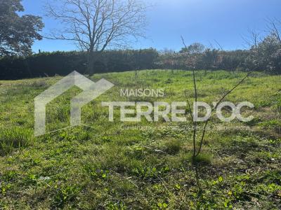 Annonce Vente Maison Pompertuzat 31