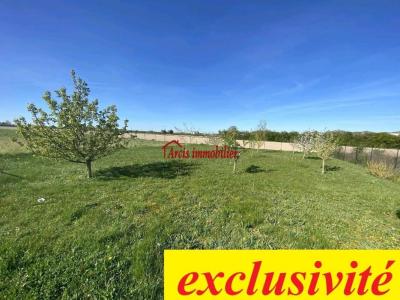 For sale Arcis-sur-aube 905 m2 Aube (10700) photo 0