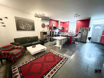 Annonce Location 3 pi�ces Maison Villeurbanne 69