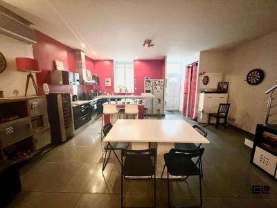 Louer Maison Villeurbanne 975 euros